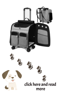 dog carriers for hikers